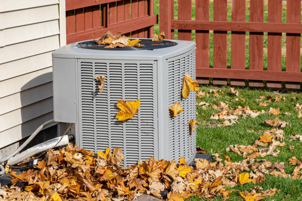 Best HVAC Installation Services  in Walls, MS