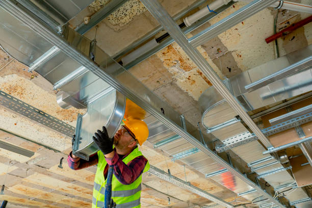 Best Local HVAC Companies  in Walls, MS